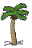 palmtree